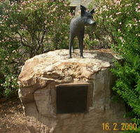 Dingo Statue - Find Attractions