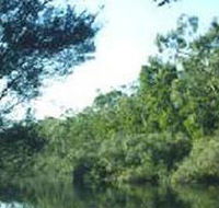 Crawford River Regional Park - Find Attractions