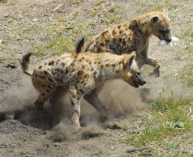 Altina Wildlife Park - Find Attractions 0