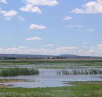 Fivebough Wetlands - Find Attractions