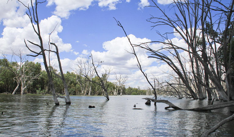 Morundah NSW Find Attractions