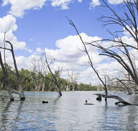 Murrumbidgee Valley National Park - Find Attractions