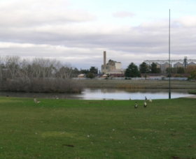 McCaughey Bicentennial Park - Find Attractions 1