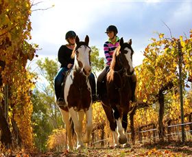 Billabong Ranch Echuca