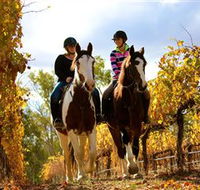 Billabong Ranch - Find Attractions