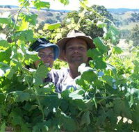 Wimmera Hills Winery - Find Attractions