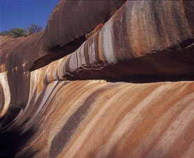  Find Attractions