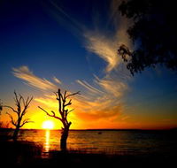 Lake Cowal - Find Attractions