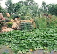 Mackenzie Park - Find Attractions