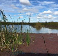 Gwydir Wetlands - Find Attractions