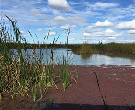 Gwydir Wetlands - Find Attractions 0