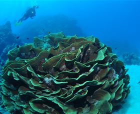 Three Sisters Dive Site - Find Attractions 2