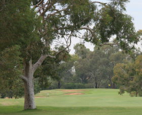 Tocumwal Golf Club - Find Attractions 2