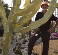 Cactus Country - Find Attractions