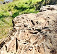 Terramungamine Rock Grooves - Find Attractions