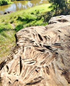 Terramungamine Rock Grooves - Find Attractions 0