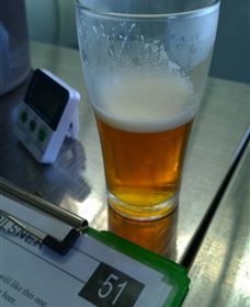 Goanna Brewing - Find Attractions 1