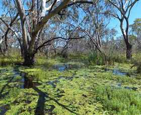 Macquarie Valley Trails - Find Attractions 0