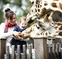 Taronga Western Plains Zoo Dubbo - Find Attractions