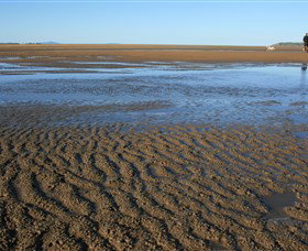 Illawong Beach - Find Attractions 0