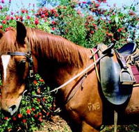 Western Plains Riding Centre - Find Attractions