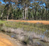 Beni State Conservation Area - Find Attractions