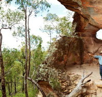 Pilliga National Park - Find Attractions