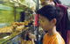 Crystal Kingdom - thumb 2
