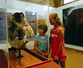 Australian Museum Diprotodon Exhibition - Find Attractions 0