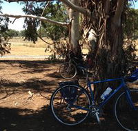 Murchison Rail Trail - Find Attractions