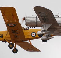 Temora Aviation Museum - Find Attractions