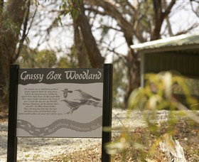 Coolamon NSW Find Attractions