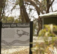 Kindra Forest - Find Attractions