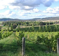 Sassy Wines - Find Attractions