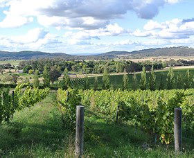 Sassy Wines - Find Attractions 0
