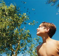 Bushwalking on Keswick Island - Find Attractions