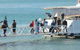 Scuba Diving On Keswick Island - thumb 0