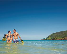 Snorkelling On Keswick Island - Find Attractions 0