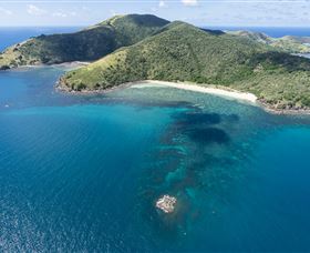 Snorkelling On Keswick Island - Find Attractions 2