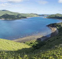 The Cremer Shipwreck Dive Site - Keswick Island - Find Attractions