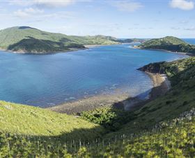 The Cremer Shipwreck Dive Site - Keswick Island - Find Attractions 0
