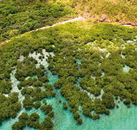 The Singapore Shipwreck Dive Site - Keswick Island - Find Attractions