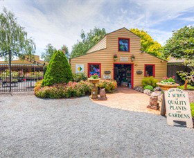 Springhill Nursery Tylden
