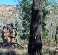 Eualdrie walking track - Find Attractions