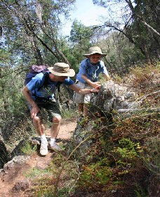 Mount Arthur Reserve - Find Attractions 0