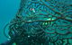 Fairey Reef - thumb 3