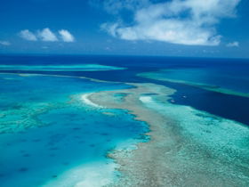 Fairey Reef - Find Attractions 2