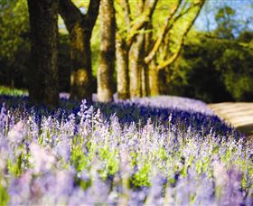 Duneira, Mt Macedon - Find Attractions 4