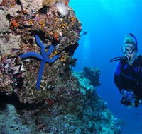 Lighthouse Bommie Dive Site - Find Attractions