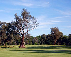 Corowa Golf Club - Find Attractions 5
